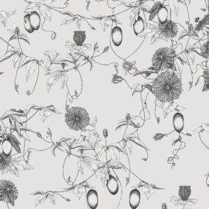 117010_-_Shangri_La_Skardu