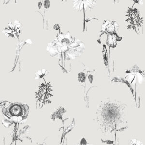 117017_-_Shangri_La_Naran