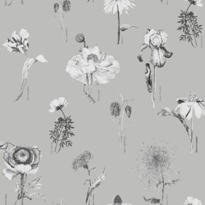 117018_-_Shangri_La_Naran