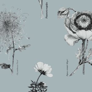 117019-Shangri-La-Naran-scaled