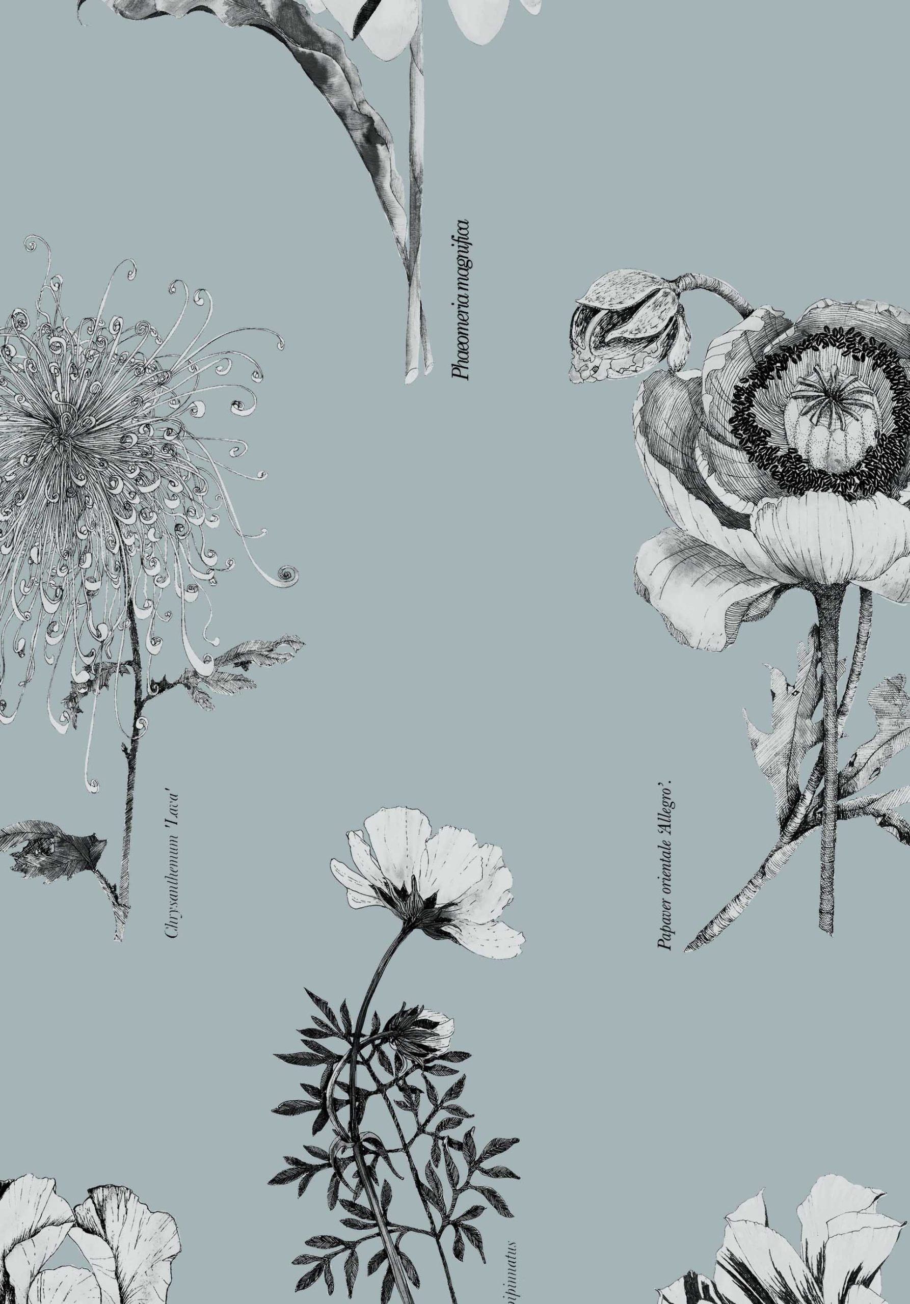 117019-Shangri-La-Naran-scaled