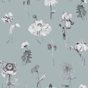 117019_-_Shangri_La_Naran