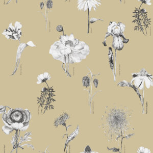 117020_-_Shangri_La_Naran