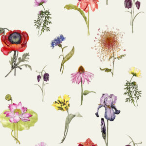 117034_-_Shangri_La_Hunza