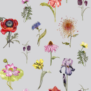 117036 - Shangri La Hunza