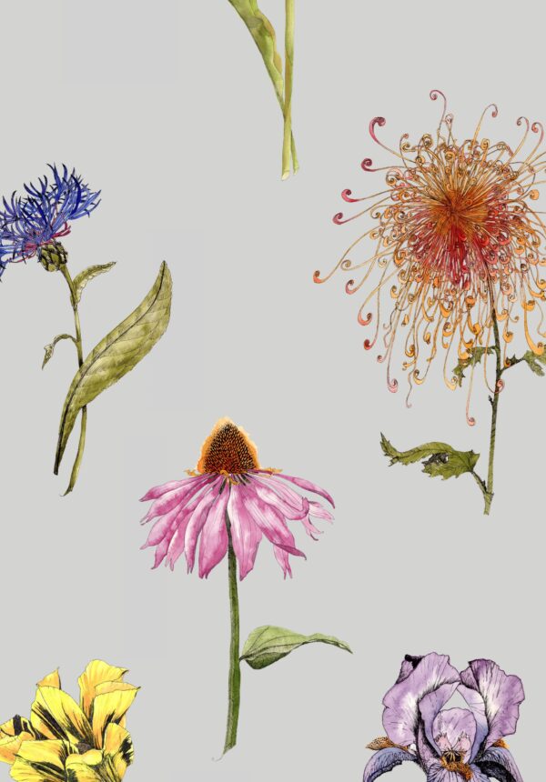 117036-Shangri-La-Hunza-scaled