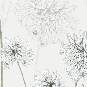 117037-Shangri-La-Yunnan_edited