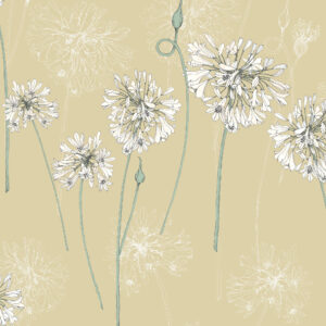 117038_-_Shangri_La_Yunnan-1