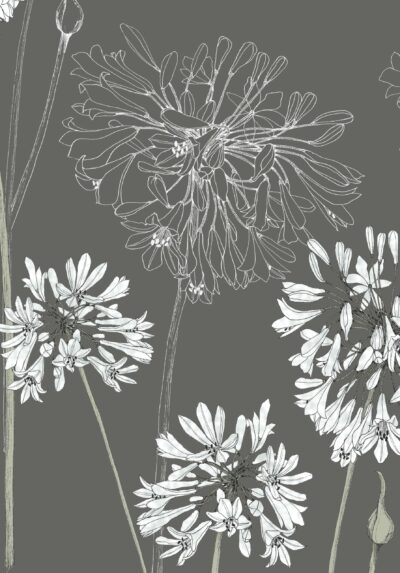 117042-Shangri-La-Yunnan-scaled