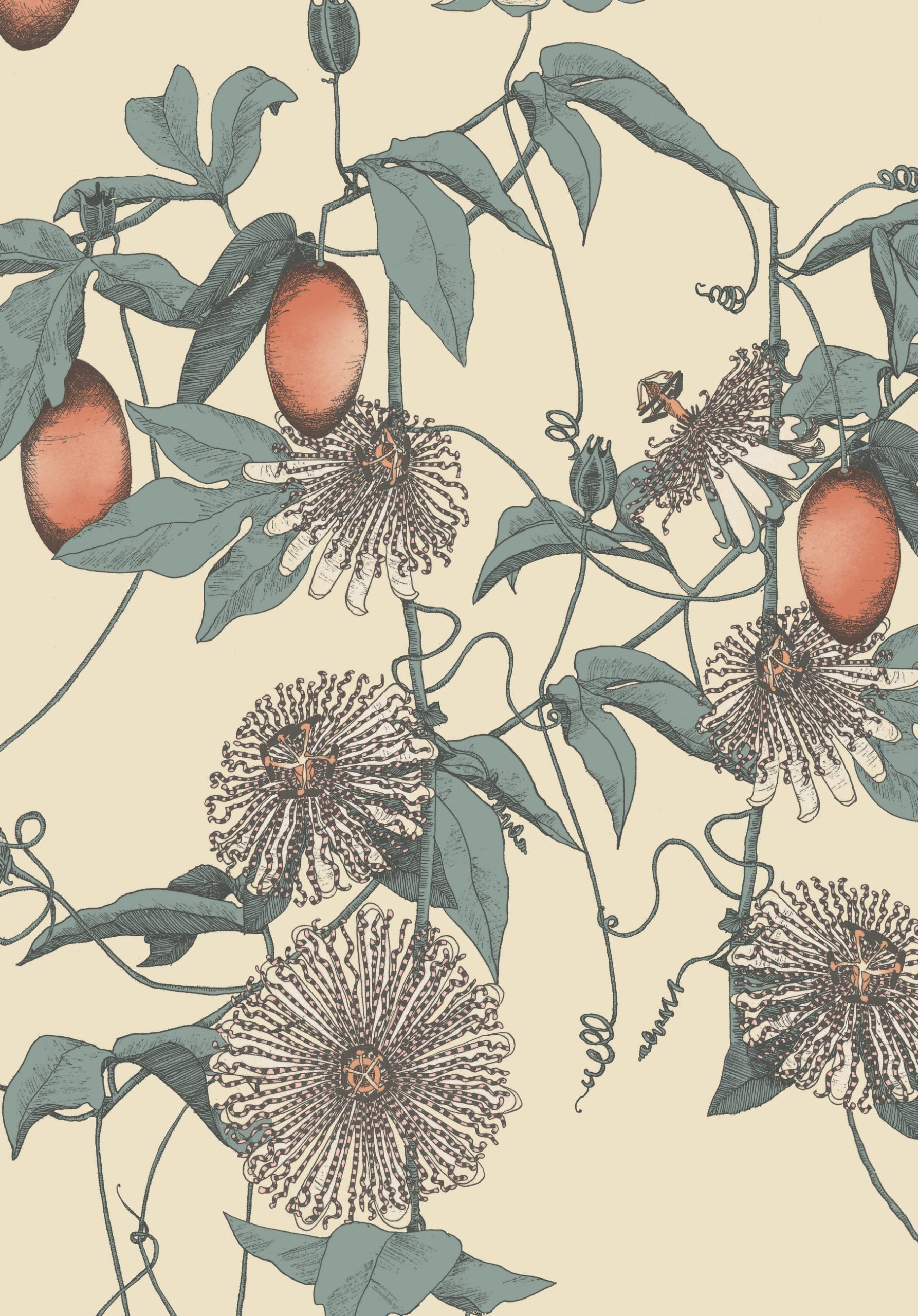 117077-Shangri-La-Skardu-scaled