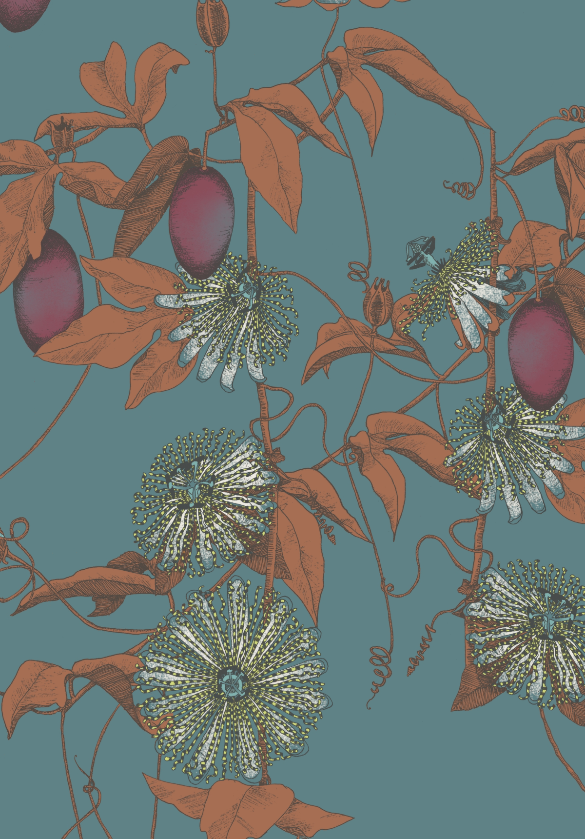 117080 - Shangri La Skardu