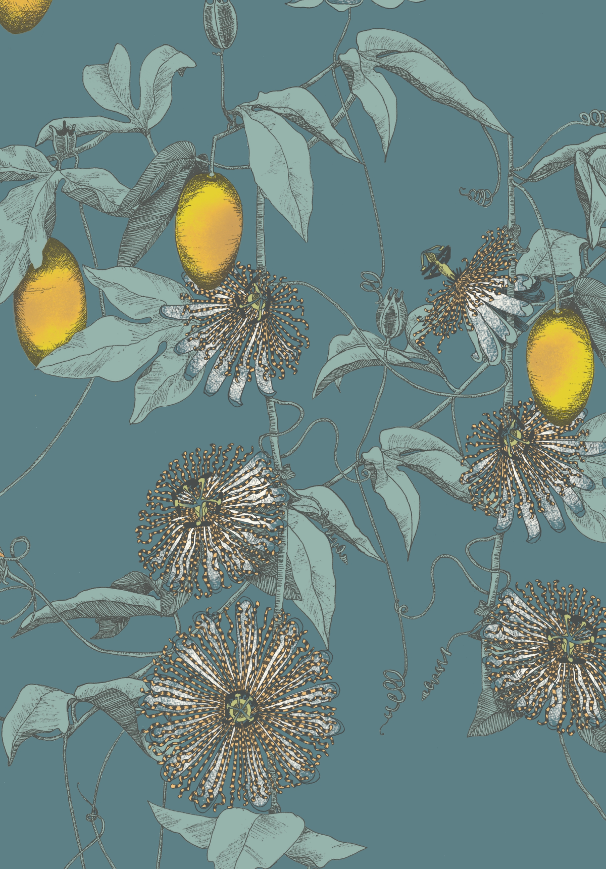 117081 - Shangri La Skardu