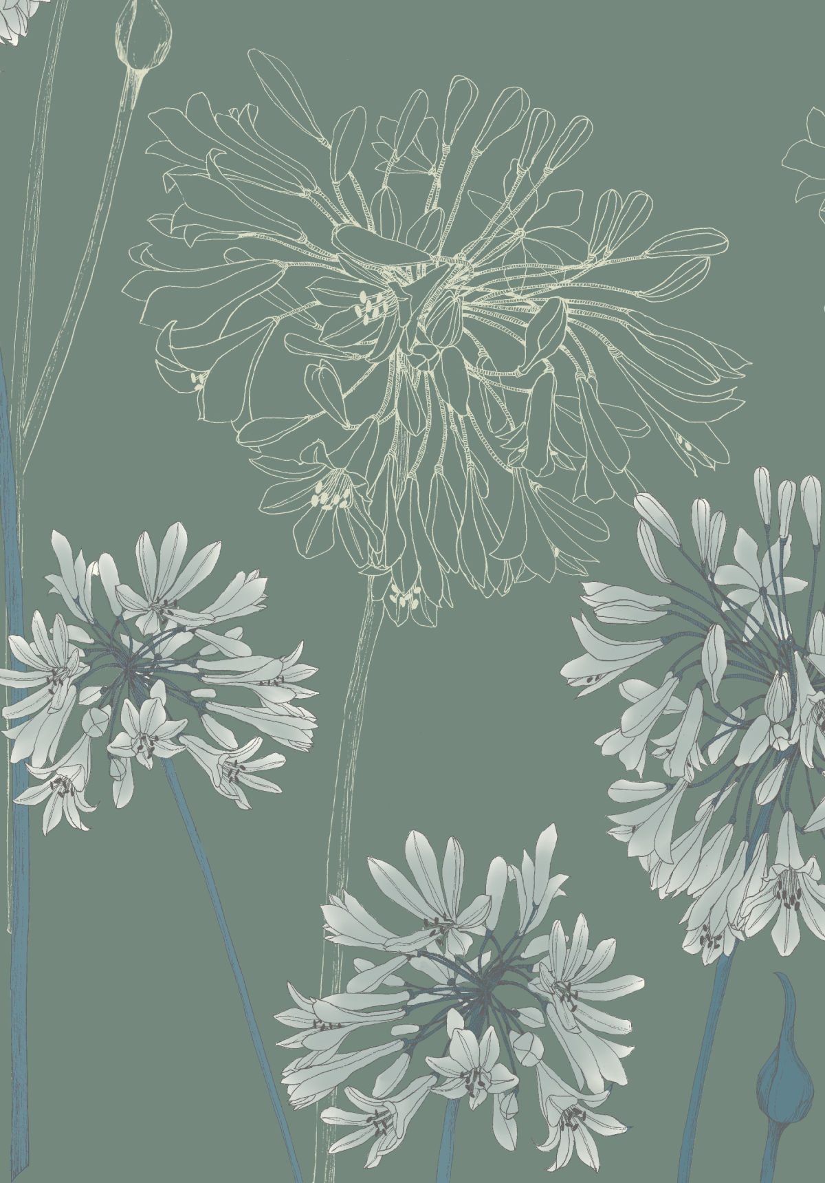 117089 - Shangri La Yunnan