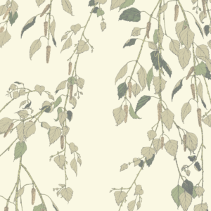 117092 - Shangri La Kachura