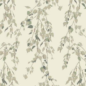 117092_-_Shangri_La_Kachura