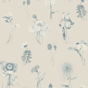 117098_-_Shangri_La_Naran