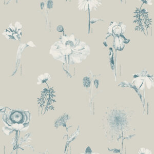 117099_-_Shangri_La_Naran