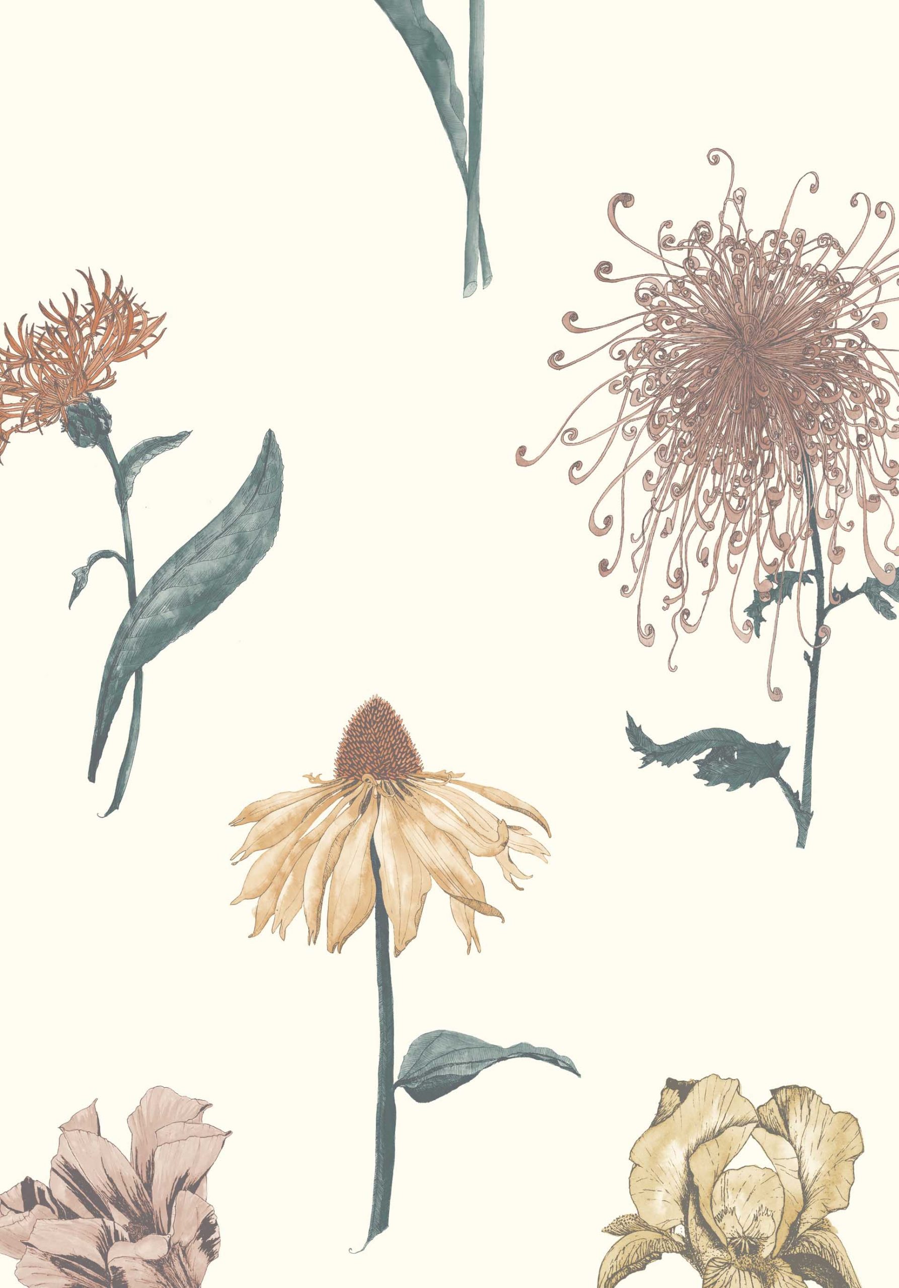 117100-Shangri-La-Hunza-scaled