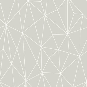 12052 - Geo Shard_Full_Repeat_Web