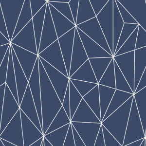 12053 - Geo Shard_Full_Repeat_Web