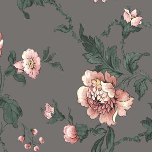 167832156711719_-_Cantari_Salome_-_Muraspec_Web