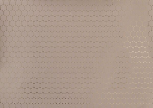 167832178012136_-_Deco_Hexagon_-_Muraspec_Web_1_.jpg