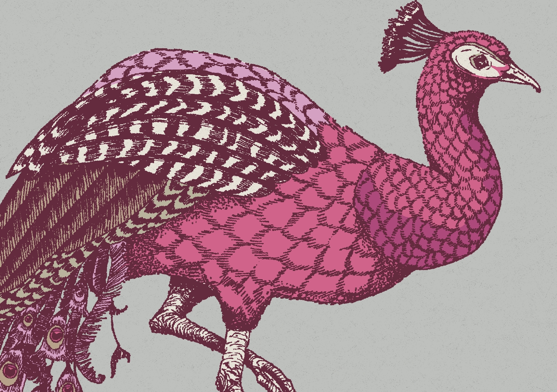 167832206510888_-_Paradise_Carmen_-_Muraspec_Web