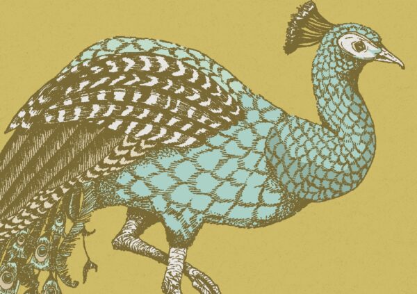 167832207610886_-_Paradise_Carmen_-_Muraspec_Web