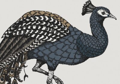 167832210010885_-_Paradise_Carmen_-_Muraspec_Web