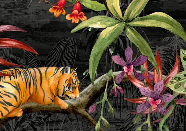 Maasai-Roll-Shot-scaled