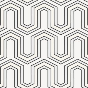 12019-Geo-Vector-Repeat.jpg